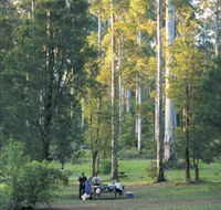 Big Brook Arboretum - Accommodation Melbourne