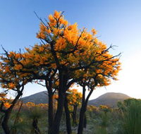 Cape Le Grand National Park - Accommodation Melbourne