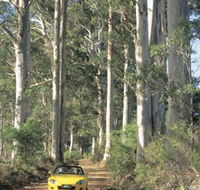 Mount Shadforth Scenic Drive - Accommodation Melbourne