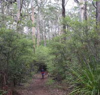 Margaret River Rails Trail - Accommodation Melbourne