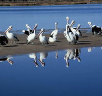 Peel Region Canoe Trails - Accommodation Melbourne