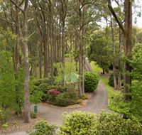 Mount Lofty Botanic Garden - Accommodation Melbourne
