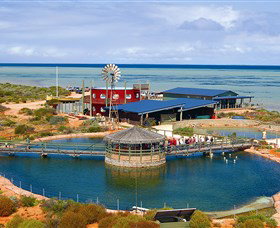 Shark Bay WA Accommodation Melbourne