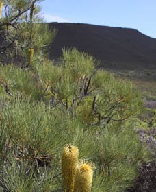  Accommodation Melbourne