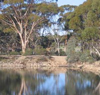 Merredin Railway Dam - Accommodation Melbourne