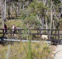 Forest Path Crooked Brook - Accommodation Melbourne