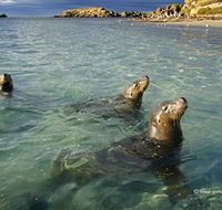 Shoalwater Islands Marine Park - Accommodation Melbourne