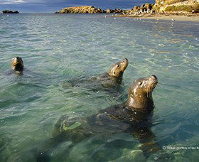 Shoalwater Islands Marine Park - Accommodation Melbourne 0
