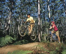 Leeuwin-Naturaliste National Park - Cowaramup - Accommodation Melbourne 0