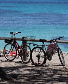 Parker Point Marine Snorkel Trail - Accommodation Melbourne 0