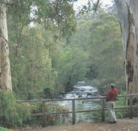 Cascades - Accommodation Melbourne