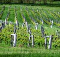 Sienna Estate Winery - Accommodation Melbourne