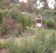 The Mythic Mazes - Accommodation Melbourne