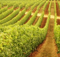 Xanadu Wines - Accommodation Melbourne