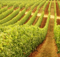 Darlington Estate Winery and Restaurant - Accommodation Melbourne