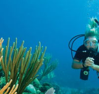 Coastal Water Dive - Accommodation Melbourne