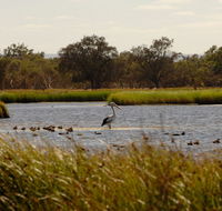 Anytime Adventures in Mandurah  the Peel Region - Accommodation Melbourne