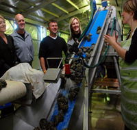 Eyre Peninsula's Seafood Trail - Accommodation Melbourne