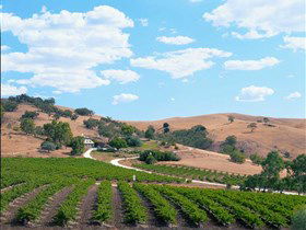 Bethany Wines - Accommodation Melbourne 0