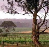 Yangarra Estate Vineyard - Accommodation Melbourne