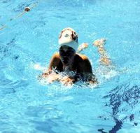 Mount Gambier Aquatic Centre - Accommodation Melbourne