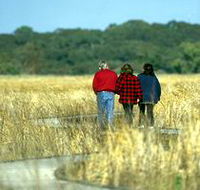 Onkaparinga River Recreation Park - Accommodation Melbourne