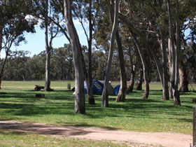 Black Cockatoo Bush Camp - Accommodation Melbourne 0