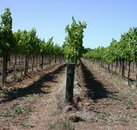 Temple Bruer Winery - Accommodation Melbourne