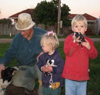 Orrie Cowie Merino and Poll Merino Stud - Accommodation Melbourne