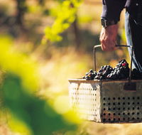 Burge Family Winemakers - Accommodation Melbourne