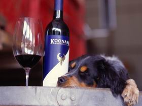 Koonara Wines - Accommodation Melbourne 0