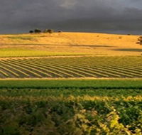 Kellermeister Wines - Accommodation Melbourne