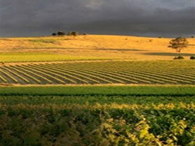 Kellermeister Wines - Accommodation Melbourne 0