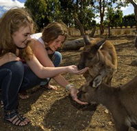 Kangaroo Island Wildlife Park - Accommodation Melbourne