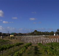 Deep Creek Wines and Alpacas - Accommodation Melbourne