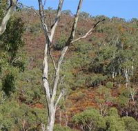 Black Hill Conservation Park - Accommodation Melbourne