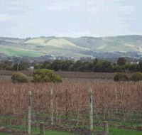Mclaren Vale Premium Wines - Accommodation Melbourne