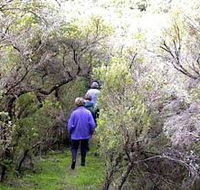 Jack And Hilda McArthur Walk - Accommodation Melbourne