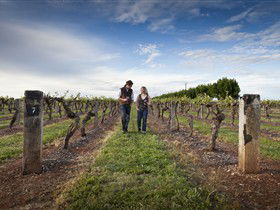 Coonawarra Wineries Walking Trail - Accommodation Melbourne 0
