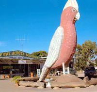 The Big Galah - Accommodation Melbourne