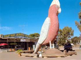 The Big Galah - Accommodation Melbourne 0