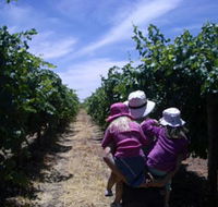 McLaren Vale Orchards - Accommodation Melbourne