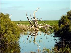 Bool Lagoon Game Reserve And Hacks Lagoon Conservation Park - Accommodation Melbourne 0