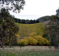 Mt Bera Vineyards - Accommodation Melbourne