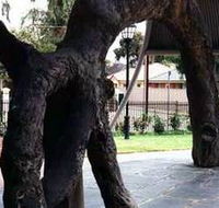 Old Gum Tree - Accommodation Melbourne