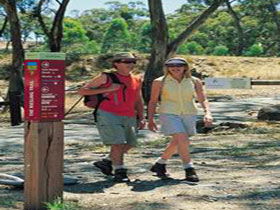 Riesling Trail - Accommodation Melbourne 0