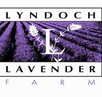 Lyndoch Lavender Farm and Cafe - Accommodation Melbourne