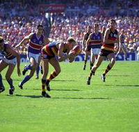 AAMI Stadium Tours - Accommodation Melbourne