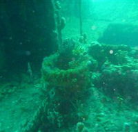 Wallaroo Scuba Club - Accommodation Melbourne