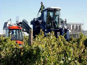 Ballast Stone Estate Wines Pty Ltd - Accommodation Melbourne 0